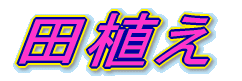 �c�A��
