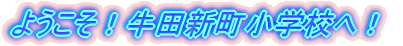 �悤�����I���c�V�����w�Z�ցI